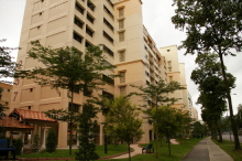 Blk 257 Bukit Batok East Avenue 4 (Bukit Batok), HDB 5 Rooms #332202